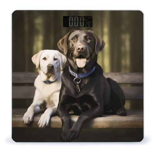 Báscula digital para baño Labrador con pantalla LCD
