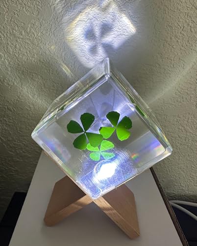 Image of 2 inch Real Three Four Leaf Clovers Shamrock in Crystal Clear Lucite Resin Cube Specimen St.Patrick's Day inchLucky Leaf inch Gift Crafts Collection Botany Science Education Desk Ornament Display Paperweight