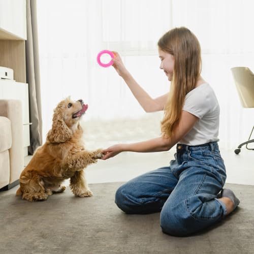 KEORHEZ Welpe Zähne Kauen Spielzeug 10Pcs, Juckreiz Kleine Hunde Welpenspielzeug Ring, Gummi Kauspielzeug Mundgesundheit Welpen Interaktives Naturkautschuk Spielzeug Kleiner Ring für kleine Hunde