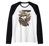 insetti collezione bugs vintage entomologia grasshopper maglia con maniche raglan