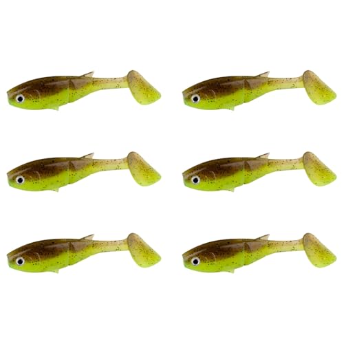 6lotsނãṽxCgA[A[ϖՐ݃g[igO[h\tgtBbVOA[