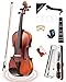 Fesley Violin Fiddle Full Set: 4/4 Matt Violin Kit for Beginners, Acoustic Violin with Hard Case, Solidwood Hand Made Starter Kit with Bow, Shoulder Rest, Tuner, Extra Strings