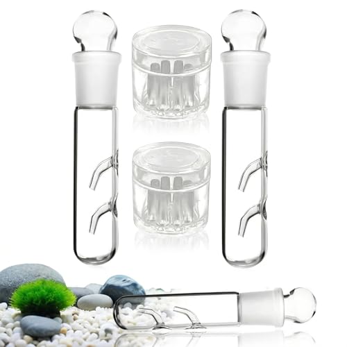 4-Teiliges Set Schneckenfalle Aquarium Aquarium Schneckenfalle 2-Loch Und 3-Loch Klarglas Planarienfalle Aquarium Planarienfalle Für Fisch Tank Aquarium Schnecken Blutegeln Im Aquarium