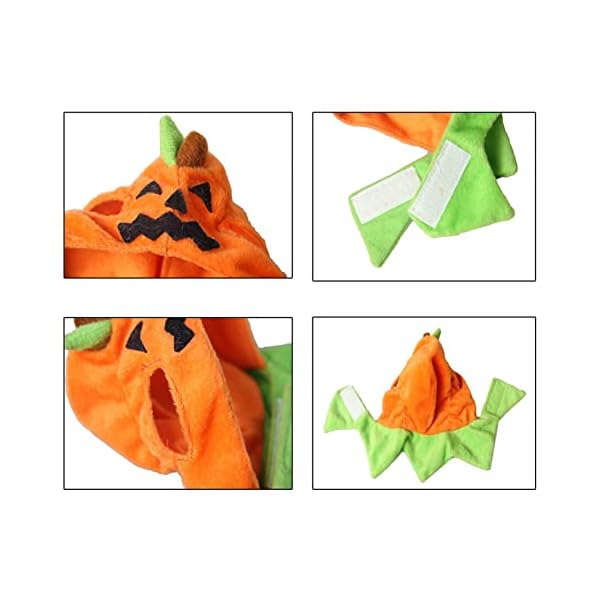 Orgrimmar halloween pumpkin cat hat cat cosplay costume cap kitty cat collar costume - image 7