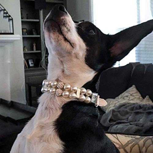 Halsband für Hunde,Hundehalsband mit Perle,Hunde-Katzen-Mode-PU-Leder-Perlenhalsband mit Bling-Strass-Diamant,Verstellbares Chihuahua-Hundehalsband für Hunde,Katzen,Welpen,Kätzchen,M,1.5X33cm