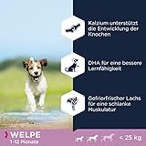 Eukanuba Welpenfutter getreidefrei mit Fisch für kleine und mittelgroße Rassen - Trockenfutter ohne Getreide für Junior Hunde, 12 kg