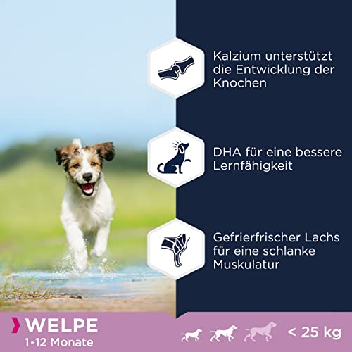 Eukanuba Welpenfutter getreidefrei mit Fisch für kleine und mittelgroße Rassen - Trockenfutter ohne Getreide für Junior Hunde, 12 kg