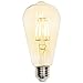 Westinghouse Lighting 0317800 60-Watt Equivalent ST20 Dimmable Amber Filament LED Light Bulb with Medium Base