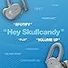 Skullcandy Push Active True Wireless in-Ear Bluetooth Earbud, Use with iPhone and Android with Charging Case and Mic, Great for Gym, Sports, and Gaming, IP55 Water, Dust Resistant - Grey/Blue