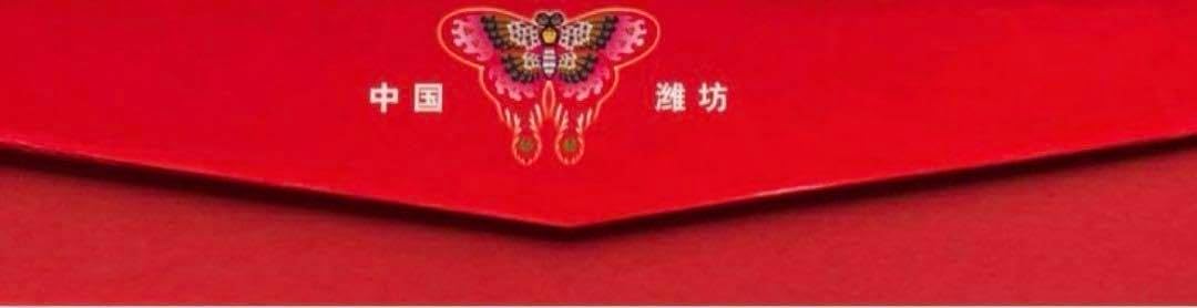 スカイスポーツ カイト 中国 濰坊 風箏 魚凧 海外商品 风筝 kite