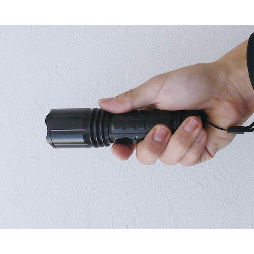 Amazon | ハイドレンジア ブラックライト 395nm UV-275NC395-01