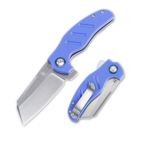 Kizer Knives Pocket Knife with Clip G10 Handles Material EDC Folding knife Mini Sheepdog V3488C3
