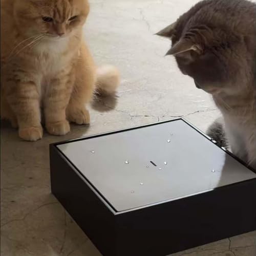 Jouet interactif pour chats à débit réglable et fontaine de jeu pour chatons - 6