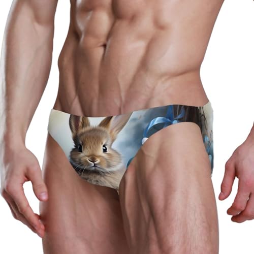 Mens Easter Bunny Rabbit Eggs Bikini Swimsuit Swimwear Swim Briefs for Men 213415464