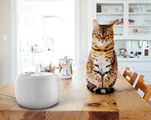 Nugget Lite Pet Water Fountain | 2.5 L Drinking Fountain For Cats And Dogs (White) #TOP6