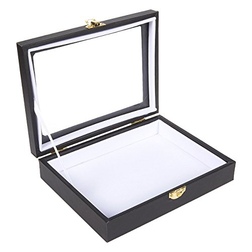 Insect Display Case - Bug Display Box with Glass Window and Secure