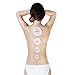 AntiCellulite Cup Vacuum Massage Cupping Therapy Set – Body Only (Clear)