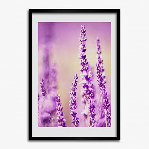 Cadre MDF Peinture 50x70 cm Tulup Lavande pour Photo et Affiche