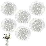 Asitanie 6Pcs Hanataba Blumenhalter für Vasen Ikebana Stielhalter Ikebana Drehbarer Blumenhalte Stielhalter Blumen Spiral Blumenstielhalter für DIY Blumenhalter Blumenarrangement Halte(S,Transparent)