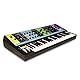 MOOG Matriarch Patchbarer 4-Noten paraphoner Analog-Synthesizer mit Keyboard, Sequencer, Arpeggiator, Stereo Ladder-Filtern, Stereo Analog-Delay