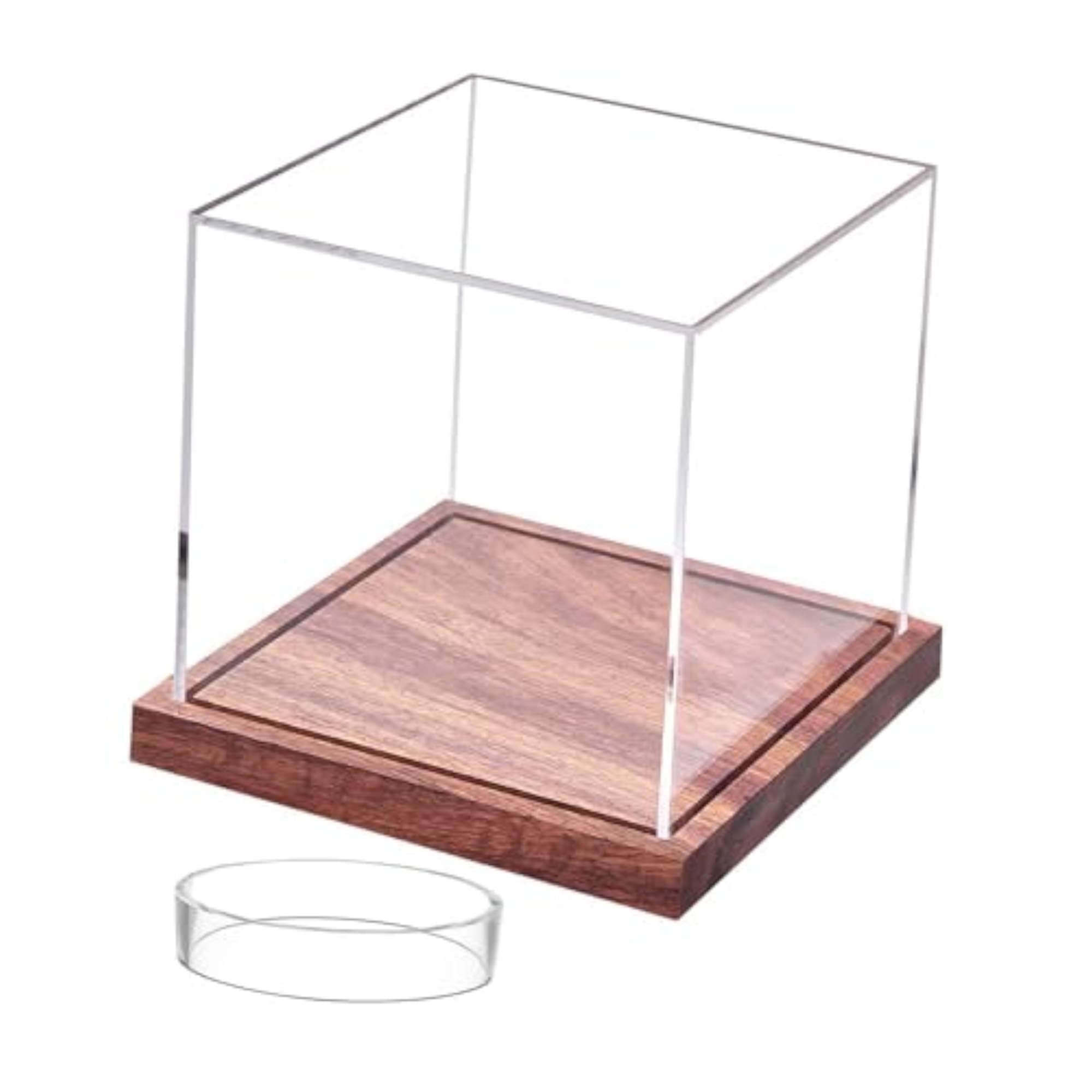 Portable Acrylic Baseball Display Case