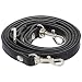 RAYNAG Adjustable Purse Strap Replacement Leather Handbag Shoulder Strap Replacement with Silver Metal Swivel Hooks, Black