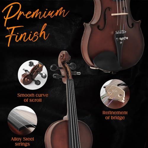 Ceciliec Acoustic Violin 4/4 Full Size, Solid Wood Fiddle for Beginners Adults, Ebony Fitted Satin Antique Finish Violin Starter Kit with Hard Case