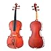 Cecilio CVA-400 Solidwood Viola, Size 14-Inch
