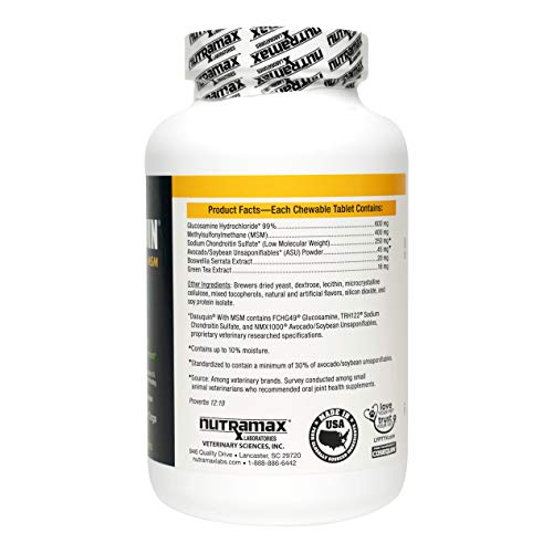 dasuquin glucosamine