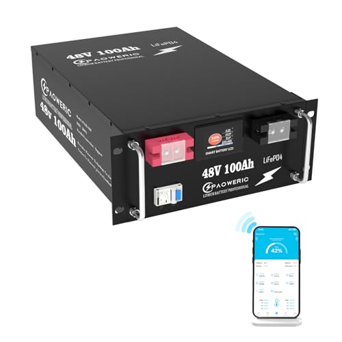 Paoweric 48V 100Ah LiFePO4 Battery with Smart BMS & App