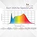 Active Grow T5 High Output 4FT LED Grow Light Bulb - T5 Grow Lights for Indoor Plants, Veg, Bloom, Leafy Greens & Microgreens - 24W - Sun White Full Spectrum High CRI 95 - Plug & Play - 4-Pack