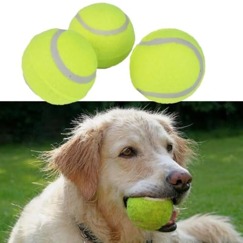 Bolas de Tênis Para Cachorro, Kit com 3 Unidades, Verde, 6,2cm- QH Shopp