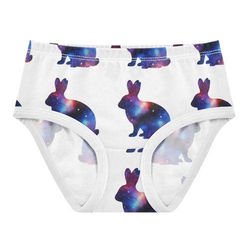 Joisal Toddler Girls Underwear 2t Cotton Panties for Girl Flower Briefs Underpants Silhouettes Rabbits White Cute