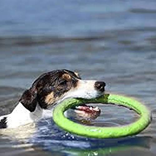 最安値 Kingsie 犬用噛おもちゃ 投げるおもちゃ Eva デンタル玩具 ドーナツ型 小型犬 ストレス解消 訓練用 ペットおもちゃ グリーン の価格比較