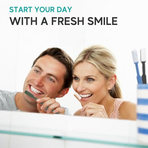 Image of Avistar 240 Prepasted Disposable Toothbrushes Individually Wrapped - Single Use Pre Pasted Disposable Toothbrushes with Toothpaste Built in - Waterless Toothbrush for Travel, Guests, Hotel, & Camping