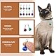 Larrel 9 Stück Katzenhundehalsband Jingle Bell, Bunte Haustier Glocken mit Verschlüssen Trainings Glöckchen Halsband Anhänger Haustierhalsband Zubehör Tracker Glocke für Party DIY Basteln Dekoration