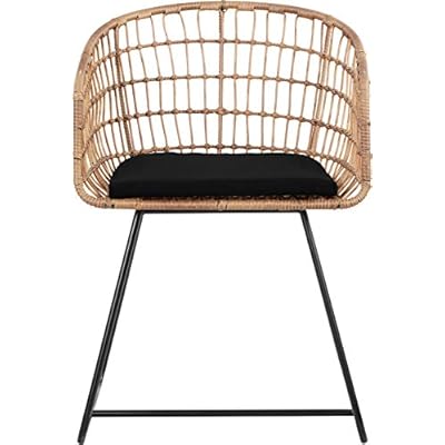 Tommy Hilfiger Graham Rattan Dining Chair, Woven Wicker Armchair with Seat Cushion Black Durable Metal Legs, Boho Modern Accent Lounge Furniture, Natural 41fWINfPuUL. SS400