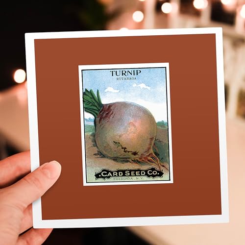 3dRose Turnip Rutabaga Root Vegetable Seed Packet Reproduction 12 Greeting Cards with envelopes