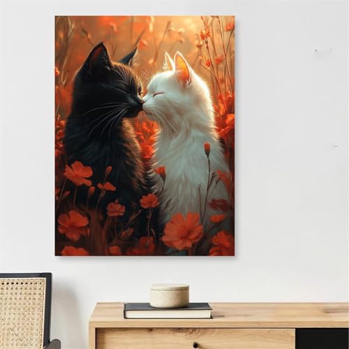 Peinture par Numéro Chat Noir et Blanc 60x90cm avec Cadre en Bois et Pinceaux