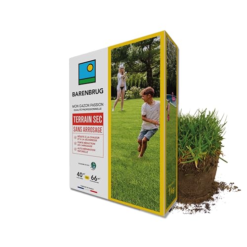 BARENBRUG - Gazon Terrain Sec sans arrosage - Résiste à la Chaleur et à la Sécheresse - Forte Réduction de l’Arrosage - Autoréparation Naturelle - Économe en...