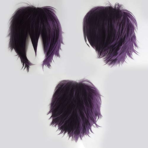 S-noilite® Peluca unisex de pelo corto recto para fiestas de anime, cosplay deformado, pelucas completas para mujeres, hombres, niños y niñas (morado oscuro) Cover