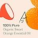 Plant Therapy Sweet Orange Organic Essential Oil 100 mL (3.3 oz) 100% Pure, USDA Certified Organic, Undiluted, Natural Aromatherapy, Fresh Scent for Home, Cleaning, and Skin Care