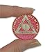 1 Year Sobriety Coin | Glitter Triplate AA Chip Recovery Anniversary Token (Pink)