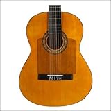 Golpeador de Guitarra