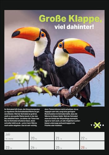 Terra X - Das Wunder Erde Wochenplaner 2026: 53 Blatt mit spannenden Naturphänomenen und atemberaubender Landschaftsfotografie. Geheimnisvolle Natur im praktischen Wandplaner (Wochenplaner Harenberg)