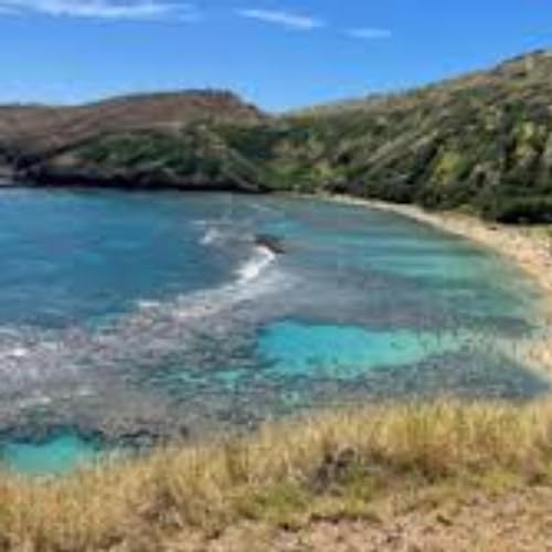 Podcast on Hawaii's Underwater Paradise