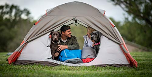 ALPS Mountaineering Lynx 4-Person Tent