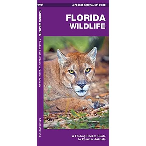 Florida Wildlife: A Folding Pocket Guide to Familiar Animals (Wildlife and Nature Identification) Cover