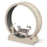 JungleA Large Cat Exercise Wheel 47 Inch - Spacious Cat Wheel with Detachable Teaser and Scratching Post for Indoor Cats, Featuring Safety Lock & Low Noise Design for Most Cats