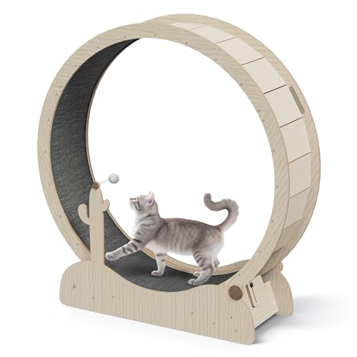JungleA Large Cat Exercise Wheel 47 Inch - Spacious Cat Wheel with Detachable Teaser and Scratching Post for Indoor Cats, Featuring Safety Lock & Low Noise Design for Most Cats